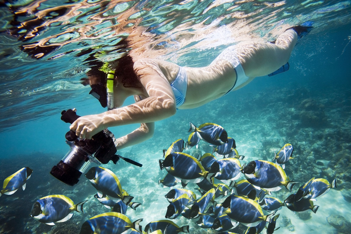 Подводная фотография. Снорклинг Шарм Эль Шейх. Красное море снорклинг. Красное море дайвинг снорклинг. Снорклинг в Хургаде.